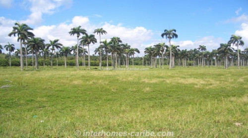 photos for LAS CANAS: LOT WITH 388 m SEAFRONT